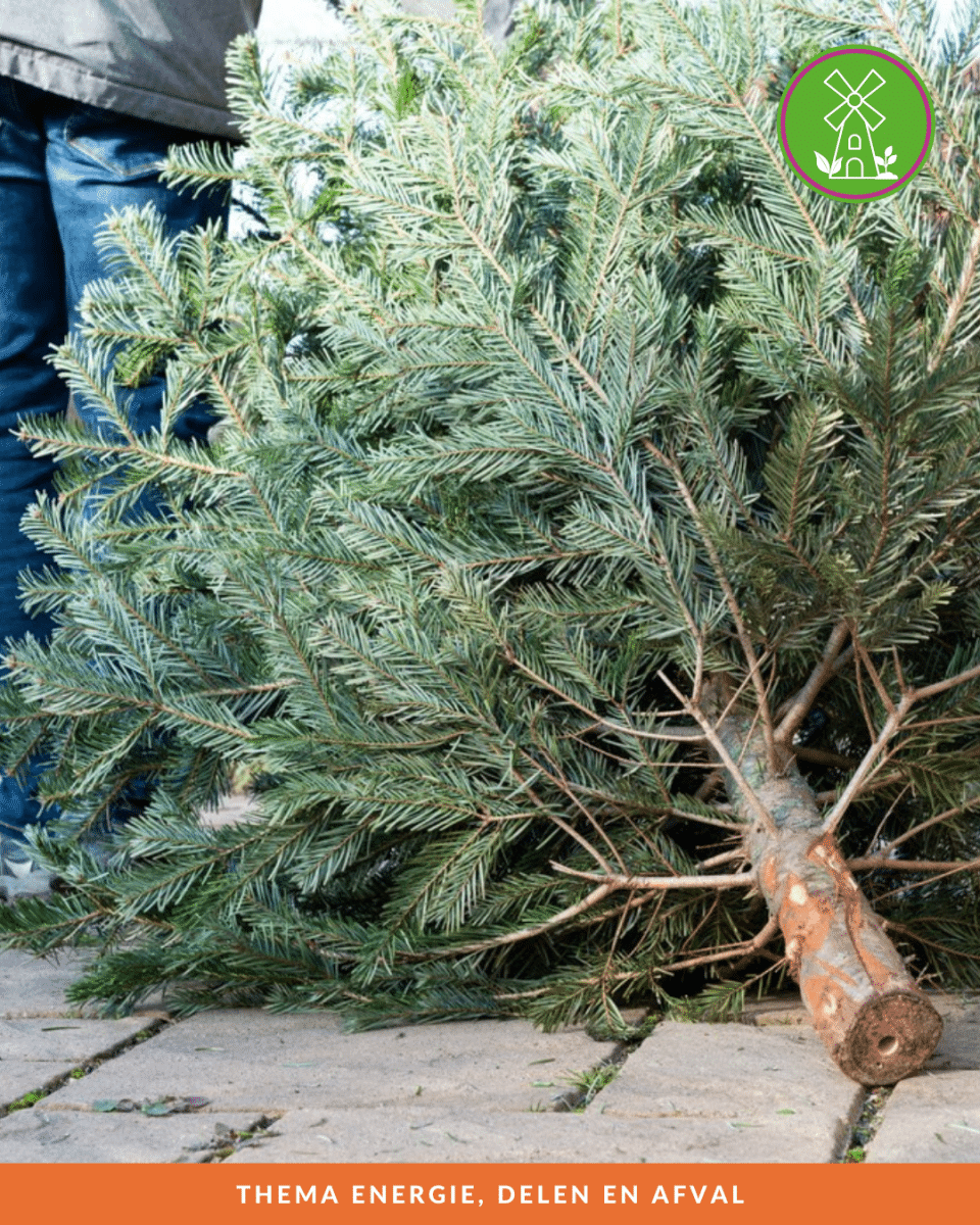 Kerstbomeninzameling gaat weer starten!